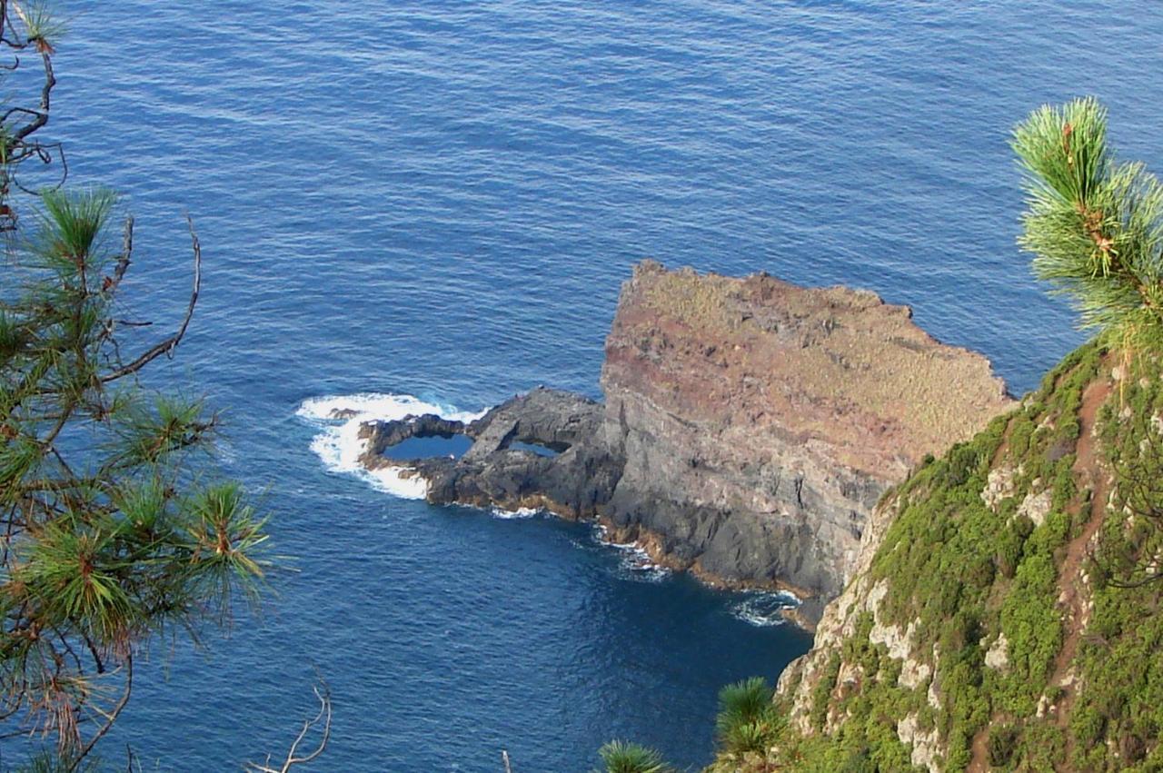 Casa Do Til Bed & Breakfast Santana  Luaran gambar